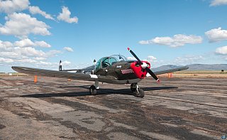 Young Eagles photo 4