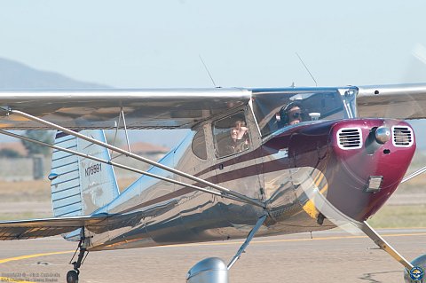 Young Eagles photo 3