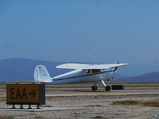 Young Eagles photo 7