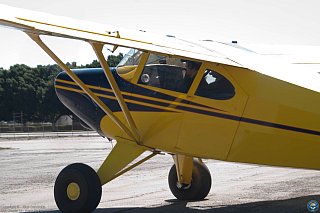 Young Eagles photo 4