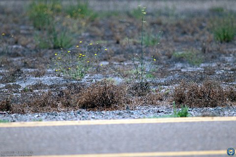 Young Eagles photo 2
