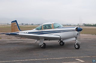 Young Eagles photo 9